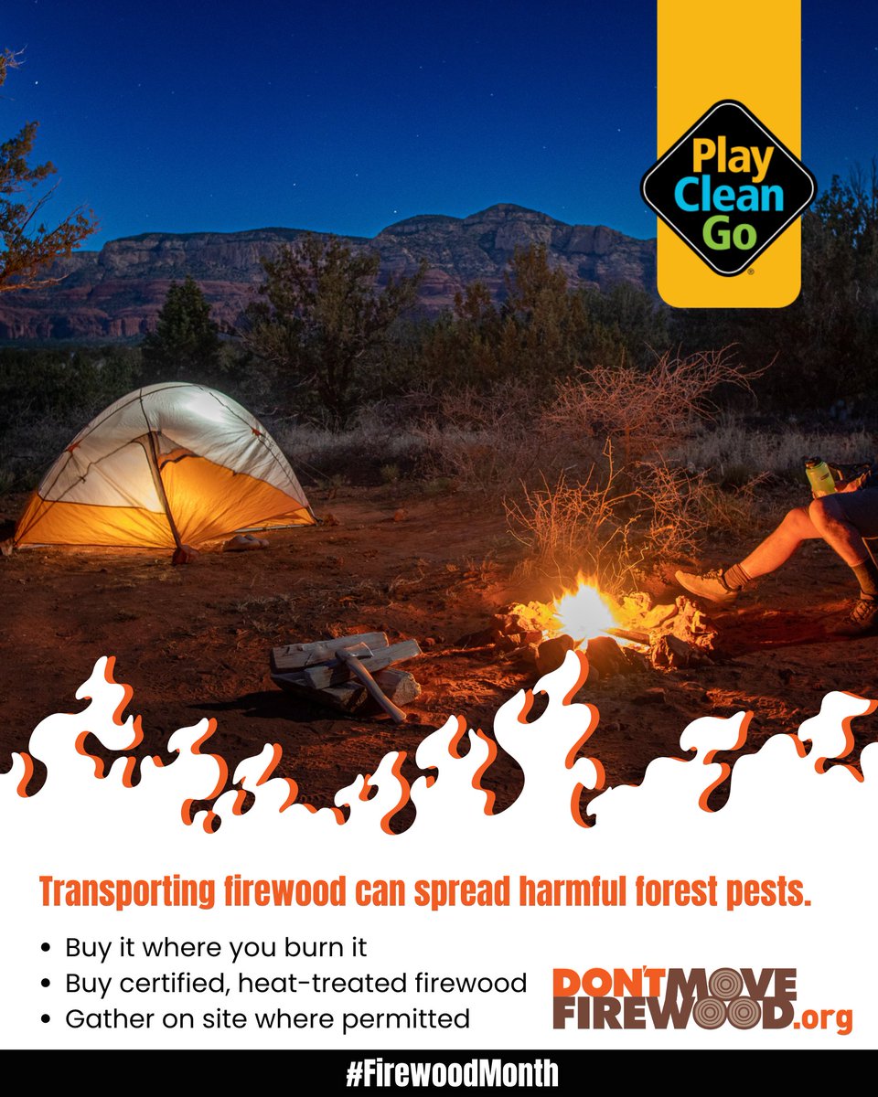 PlayCleanGo's tweet photo. 🏕️ Heading out for a fall camping trip? Add firewood to your planning list—but leave yours at home.

Bringing firewood from home can also bring invasive insects and diseases along for the ride. Instead, help protect the forests and campgrounds we love by making a plan to:

🪵 Buy firewood where you’ll burn it
🪵 Choose certified, heat-treated firewood
🪵 Gather firewood at your destination where permitted
A little planning before we head out can help make sure our camping adventures don’t accidentally give invasive forest pests a ride to somewhere new.
Camp local. Burn local. Protect the places we love. 🌲

#FirewoodMonth #PlayCleanGo #DontMoveFirewood #Camping #ForestHealth #InvasiveSpecies