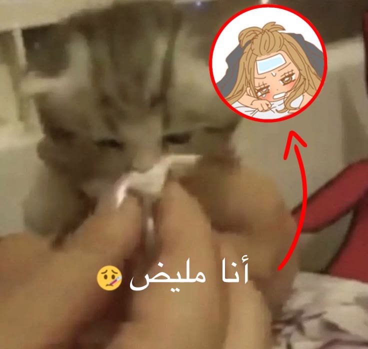 0__o_3's tweet photo. قاعده اموت 
حسبي الله على مناعتي https://t.co/5kVE6UxLde