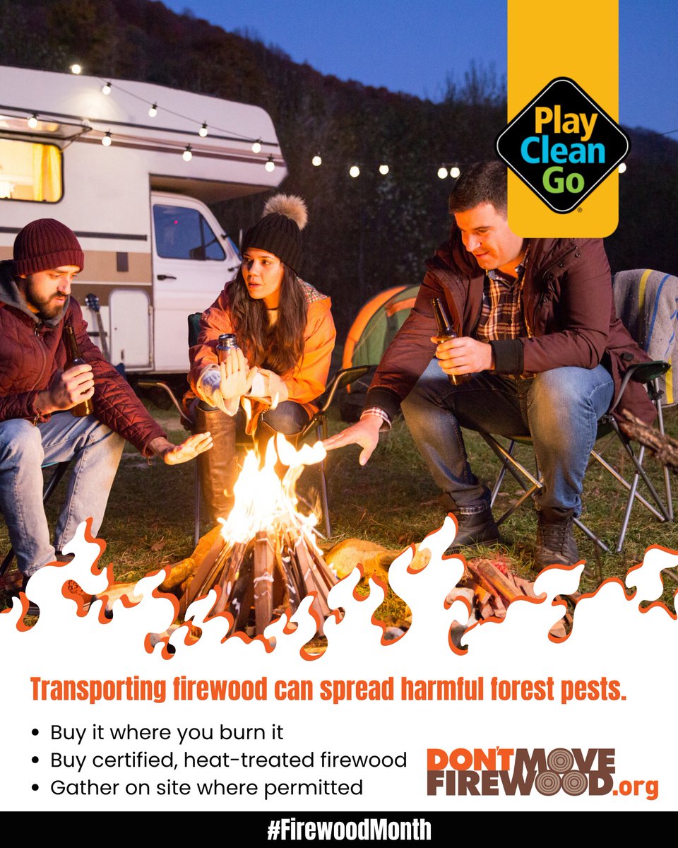PlayCleanGo's tweet photo. 🚐 Taking the RV on a fall adventure? Leave the firewood behind.

When we travel from one destination to the next, bringing firewood along can also give invasive insects and diseases a ride to somewhere new.

This #FirewoodMonth, make local firewood part of your travel plans:

🪵 Buy firewood where you’ll burn it
🪵 Choose certified, heat-treated firewood
🪵 Gather firewood at your destination where permitted

Whether you’re staying close to home or exploring somewhere new, simple choices can help protect the forests, campgrounds, and outdoor spaces we enjoy along the way. 🌲

Travel responsibly. Keep firewood local. Protect the places we love.

#PlayCleanGo #DontMoveFirewood #RVing #ForestHealth #InvasiveSpecies