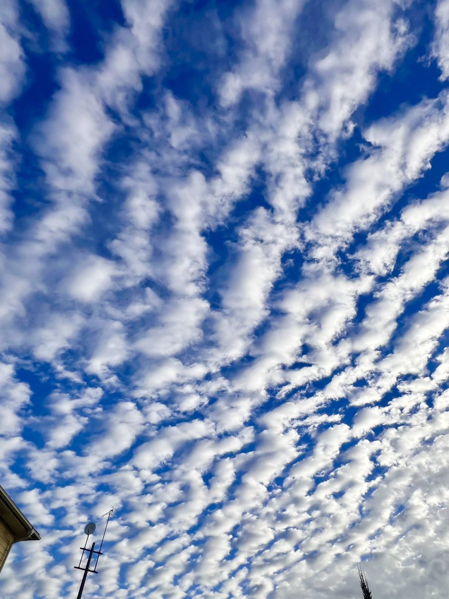 7007Morich's tweet photo. 今朝の郡山市は
綺麗なひつじ雲🥰
#空ネット
#シェア天 https://t.co/dYvI9KbOpD