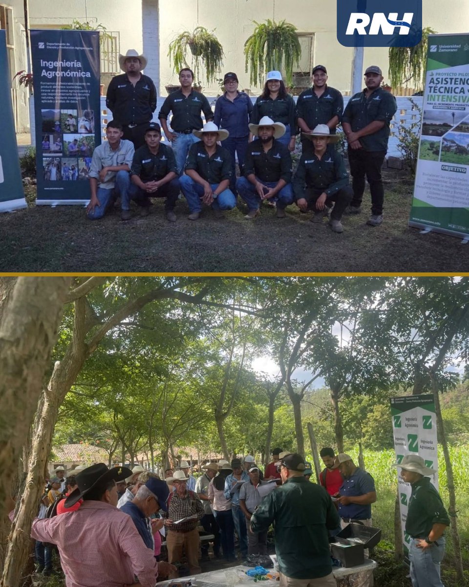 RTNH_Oficial's tweet photo. 🐄🌱 SAG y Zamorano capacitan a 176 productores en Danlí con prácticas para mejorar la producción ganadera y agrícola. 🤝
#RNH #UnGobiernoQueHace #SAG #Ganadería #Agricultura https://t.co/HzEpzZRit9
