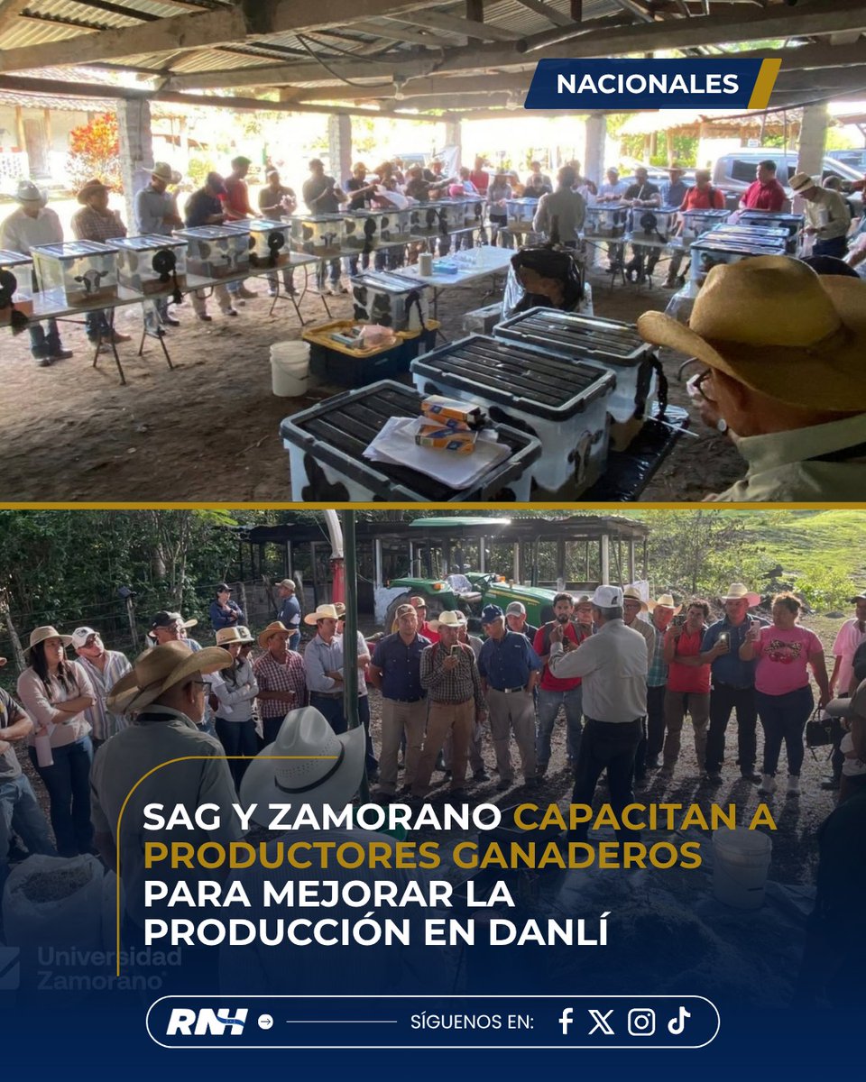 RTNH_Oficial's tweet photo. 🐄🌱 SAG y Zamorano capacitan a 176 productores en Danlí con prácticas para mejorar la producción ganadera y agrícola. 🤝
#RNH #UnGobiernoQueHace #SAG #Ganadería #Agricultura https://t.co/HzEpzZRit9