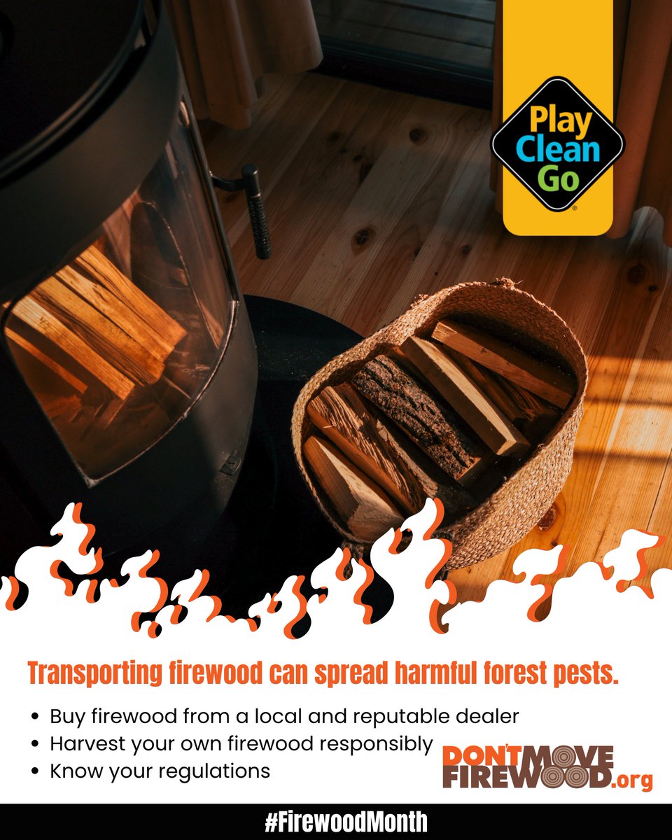 PlayCleanGo's tweet photo. 🏠🔥 Heating your home with firewood this fall and winter?

As you stock up for colder weather, where your firewood comes from matters. Moving firewood long distances can transport invasive insects and diseases that threaten trees and forests.

Help reduce the risk by purchasing firewood from a local, reputable source or choosing certified, heat-treated firewood.

Keeping firewood local isn’t just for camping trips—it’s an important choice we can make at home, too. 🪵🌲

#FirewoodMonth #PlayCleanGo #DontMoveFirewood #ForestHealth #InvasiveSpecies