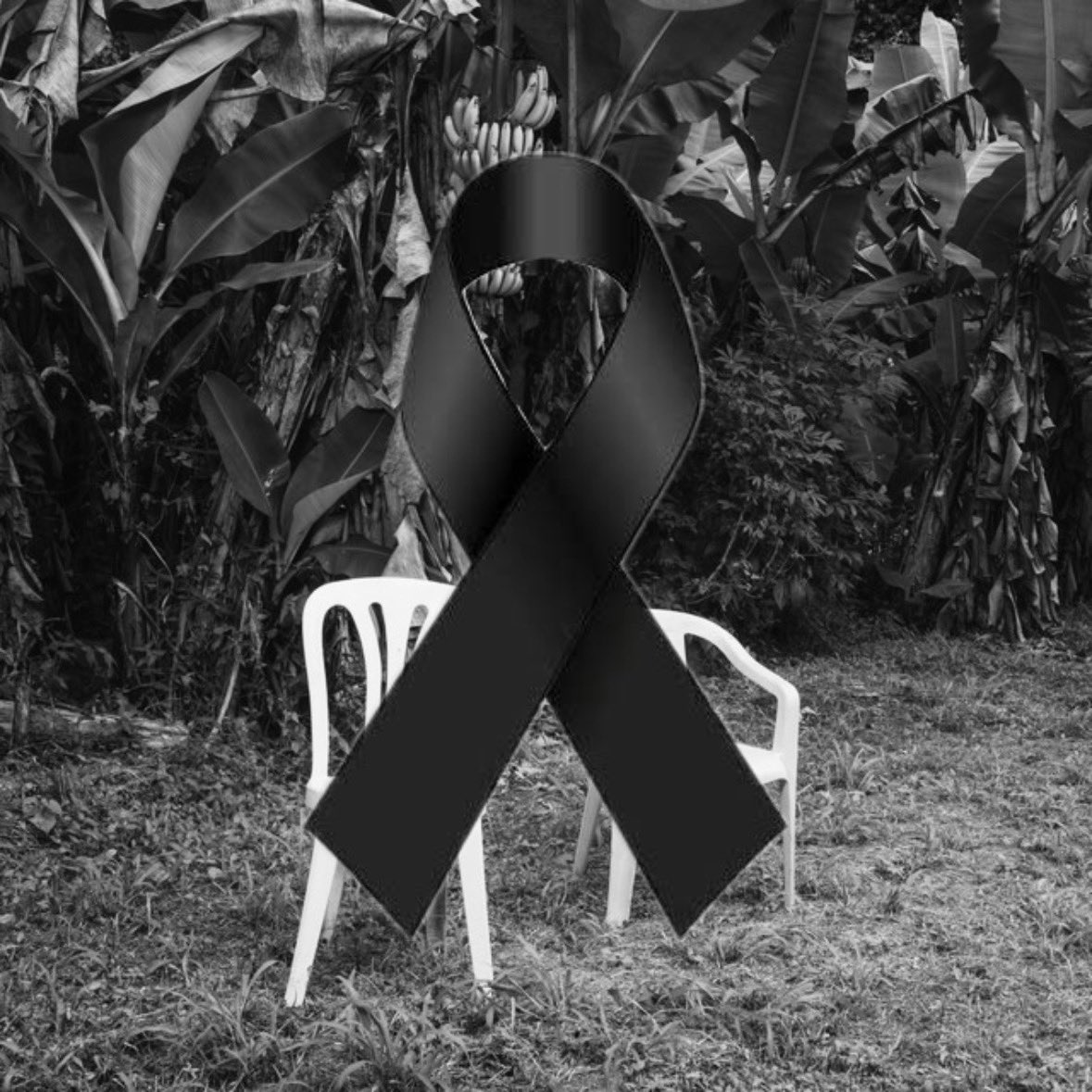 badbunita's tweet photo. Nuestra primera vez abajo de los 10.000.000
Descansa en paz DeBÍ TiRAR MáS FOToS https://t.co/Si0Srhan8q