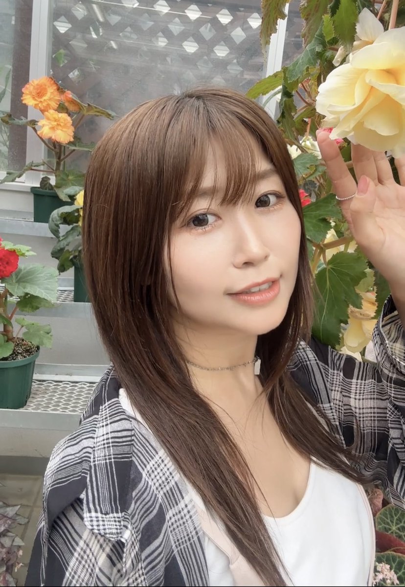 endlessroad52's tweet photo. おはよう！🌹

279 https://t.co/aUSY12Reut