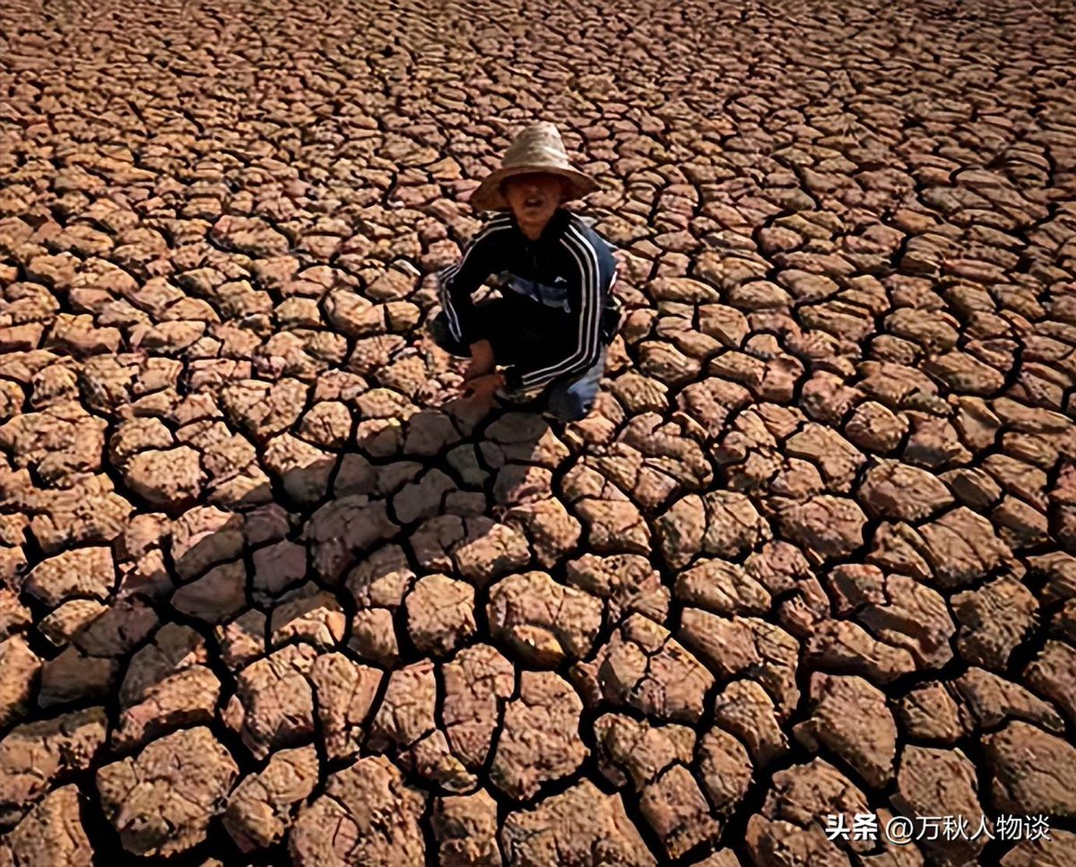 CatherineAktno's tweet photo. [La ola de calor severa quema las zonas con terreno de textura cóncava, creando escenas desoladoras.]， https://t.co/hHU7mEceoP
