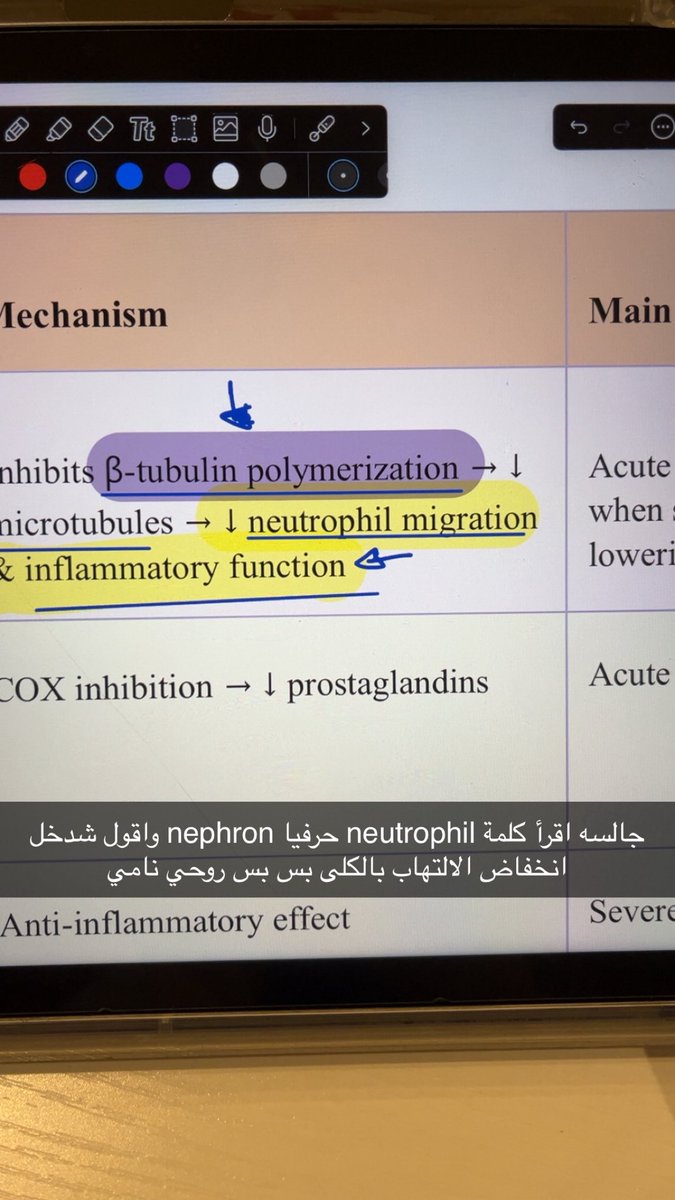 rikayq's tweet photo. المديول بالجيب🙏🏻 https://t.co/BK4T0ugECh