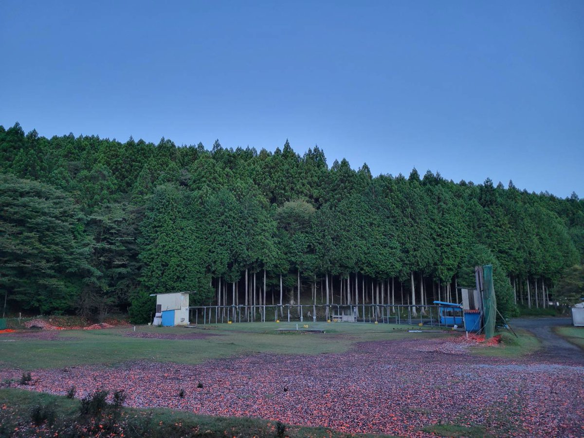 suyamashooting's tweet photo. おはようございます☀
10月6日（火）今朝の須山情報です。
天気　晴れ☀️
気温　20℃
風　　微風
本日は全面空いています。
秋晴れの須山です☀️
下界よりは過ごしやすい気候です。
ぜひ射撃練習にいらして下さい。
本日も皆様のご来場スタッフ一同心よりお待ちしております。 https://t.co/f9joGRzz1F