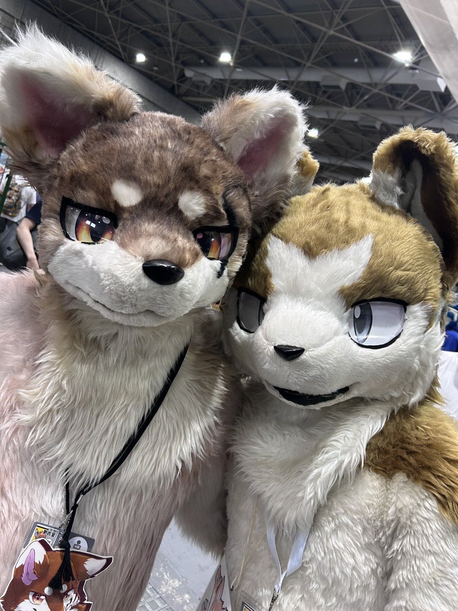 Zekecko33's tweet photo. 今日でシェンナー9周年になりました！🎊(お迎えとデビューが1日ズレ)

最近全然出せてないしイベントも少なくてレア化してるけど、これからもよろしくしてやってください…！！ https://t.co/TZ6PTWFDql
