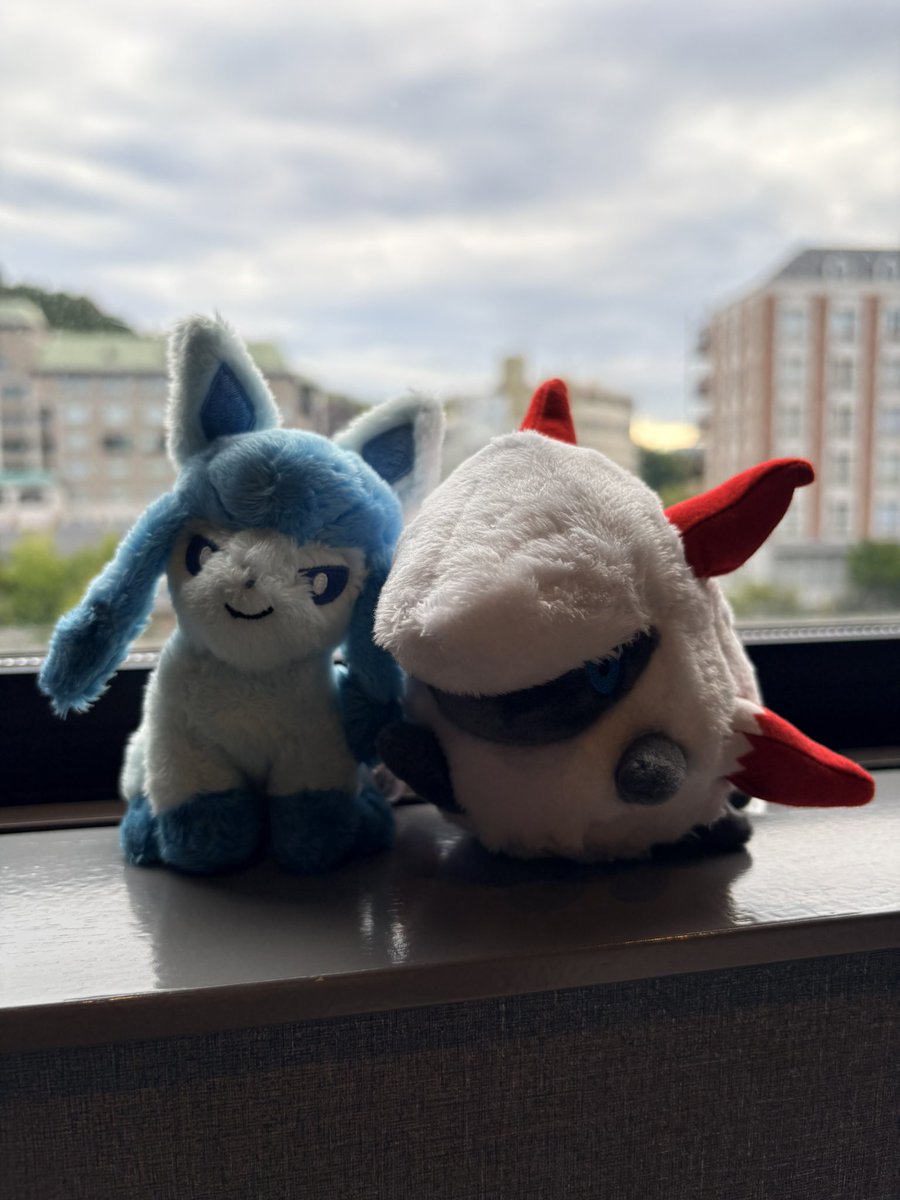 noyAzzz's tweet photo. じゃあの愛媛 https://t.co/zg6hyVAu55