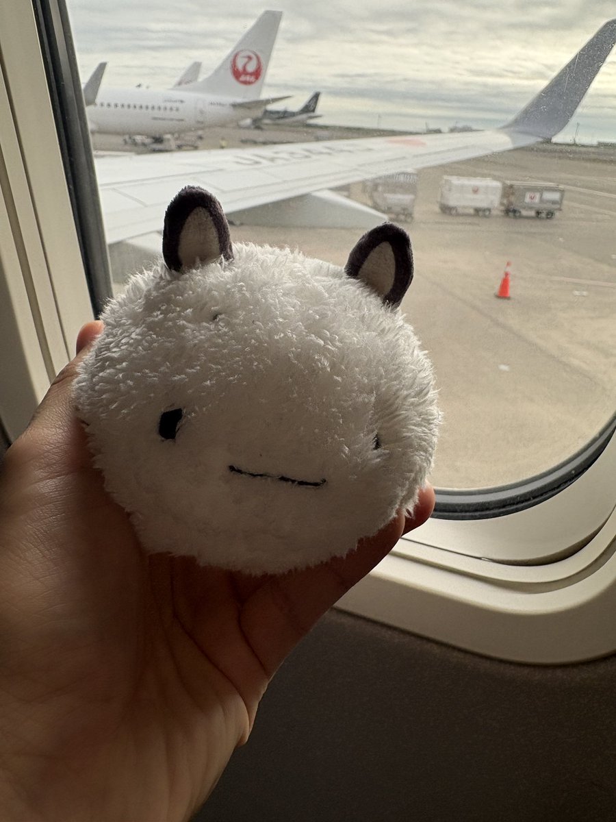 maru_poccha's tweet photo. https://t.co/bWkscpDgi6