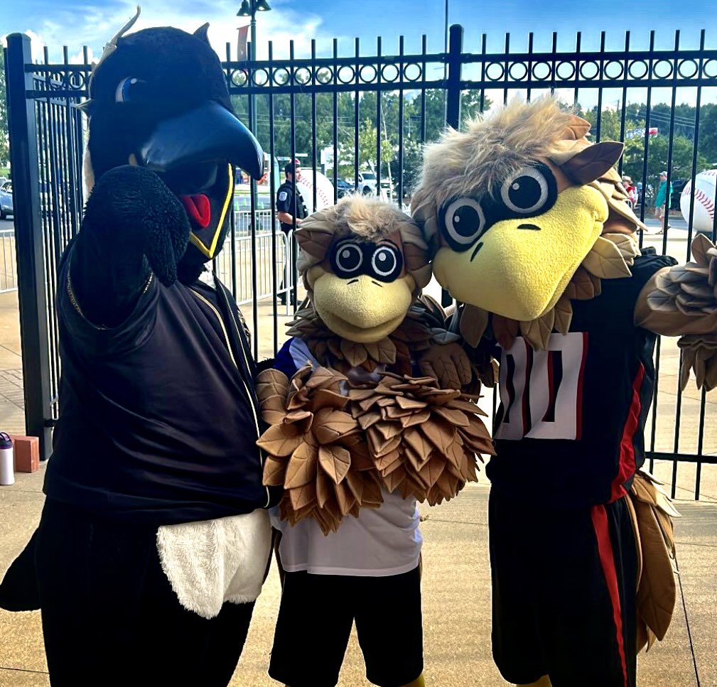GoEmperors's tweet photo. RISE UP BIRD FAM!! https://t.co/TjWpFuerdJ