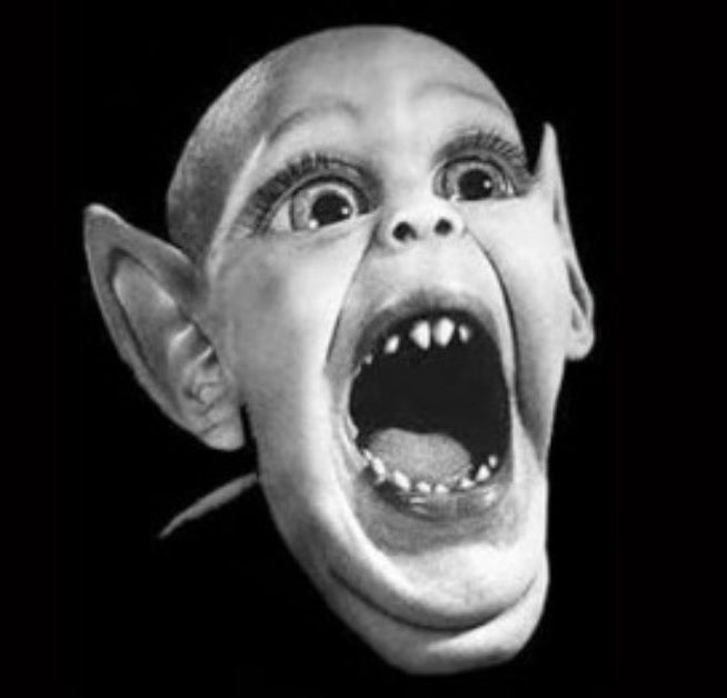 demonsidekick's tweet photo. @Suzierizzo1 https://t.co/1oxmaRITSz
