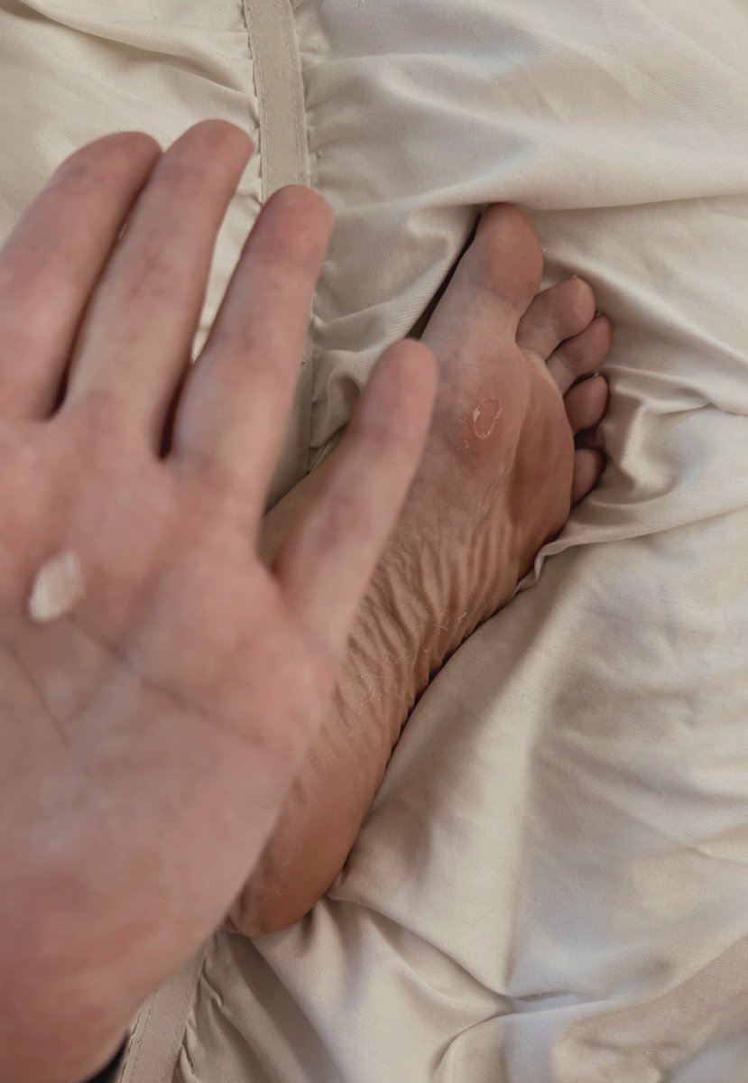 TheNatalyaVega_'s tweet photo. I have a snack for you feet muncher
Look at alll that foot dust I’m gonna be collecting https://t.co/JDHGa6LJ4M