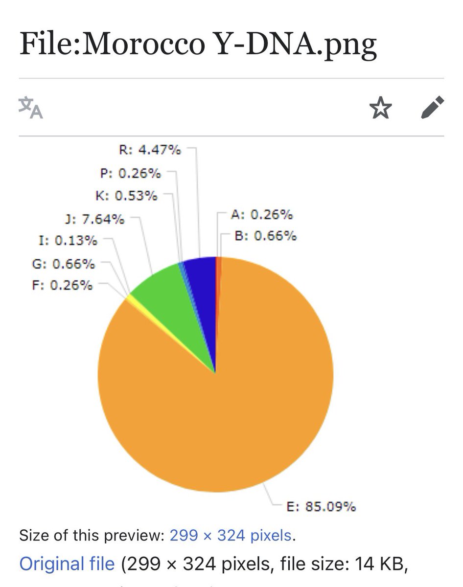 Africanistkemte's tweet photo. Moroccans are so ashamed they trace their Y-DNA lineage to black African males that came from east Africa…. they wish, fantasize, and are attempting to rewrite history to claim their Y-DNA lineage traces back to white men.  
 
But sadly, their Y-DNA predominantly traces back to Black African men. Any African south of the Sahara, I advise you, when you see Moroccans, remember 
you're looking at ancient half-breeds produced by black men mating with Eurasian females a long time ago.  
 
This produced the sorry-ass half-breed bastards known as Moroccans, who have zero respect for their father's lineage. You half-breeds from Morocco should have more respect for your father's lineage. Be happy the black men created you by breeding with West Eurasian women.