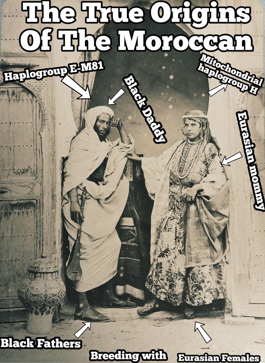 Africanistkemte's tweet photo. Moroccans are so ashamed they trace their Y-DNA lineage to black African males that came from east Africa…. they wish, fantasize, and are attempting to rewrite history to claim their Y-DNA lineage traces back to white men.  
 
But sadly, their Y-DNA predominantly traces back to Black African men. Any African south of the Sahara, I advise you, when you see Moroccans, remember 
you're looking at ancient half-breeds produced by black men mating with Eurasian females a long time ago.  
 
This produced the sorry-ass half-breed bastards known as Moroccans, who have zero respect for their father's lineage. You half-breeds from Morocco should have more respect for your father's lineage. Be happy the black men created you by breeding with West Eurasian women.
