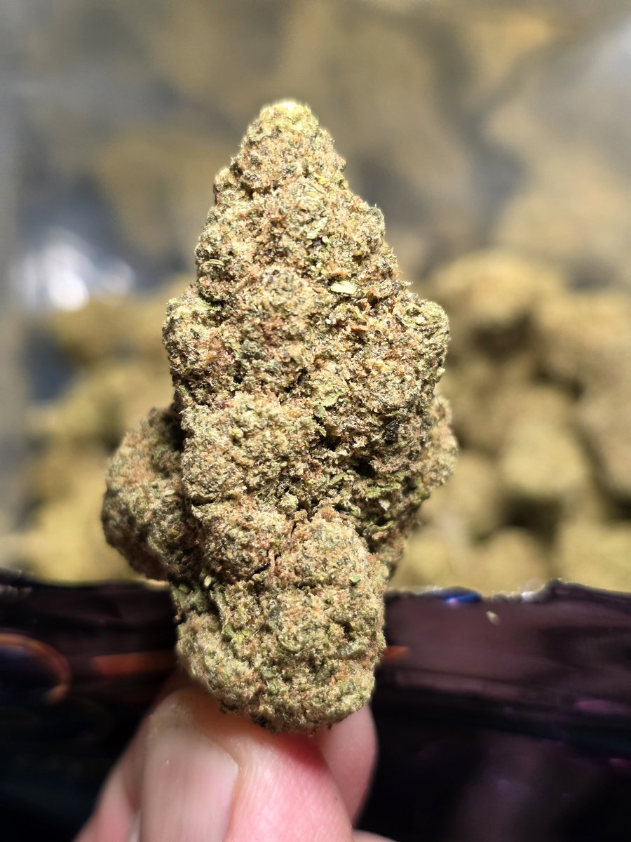 CloudDistrictTX's tweet photo. Your go-to MobilePlug 👑🔥
Tap in for availability 📲
Serving the local area 📍
DM to connect. 
#arlington #dallas #tx #texas #fortworth https://t.co/2oo77k1UTi