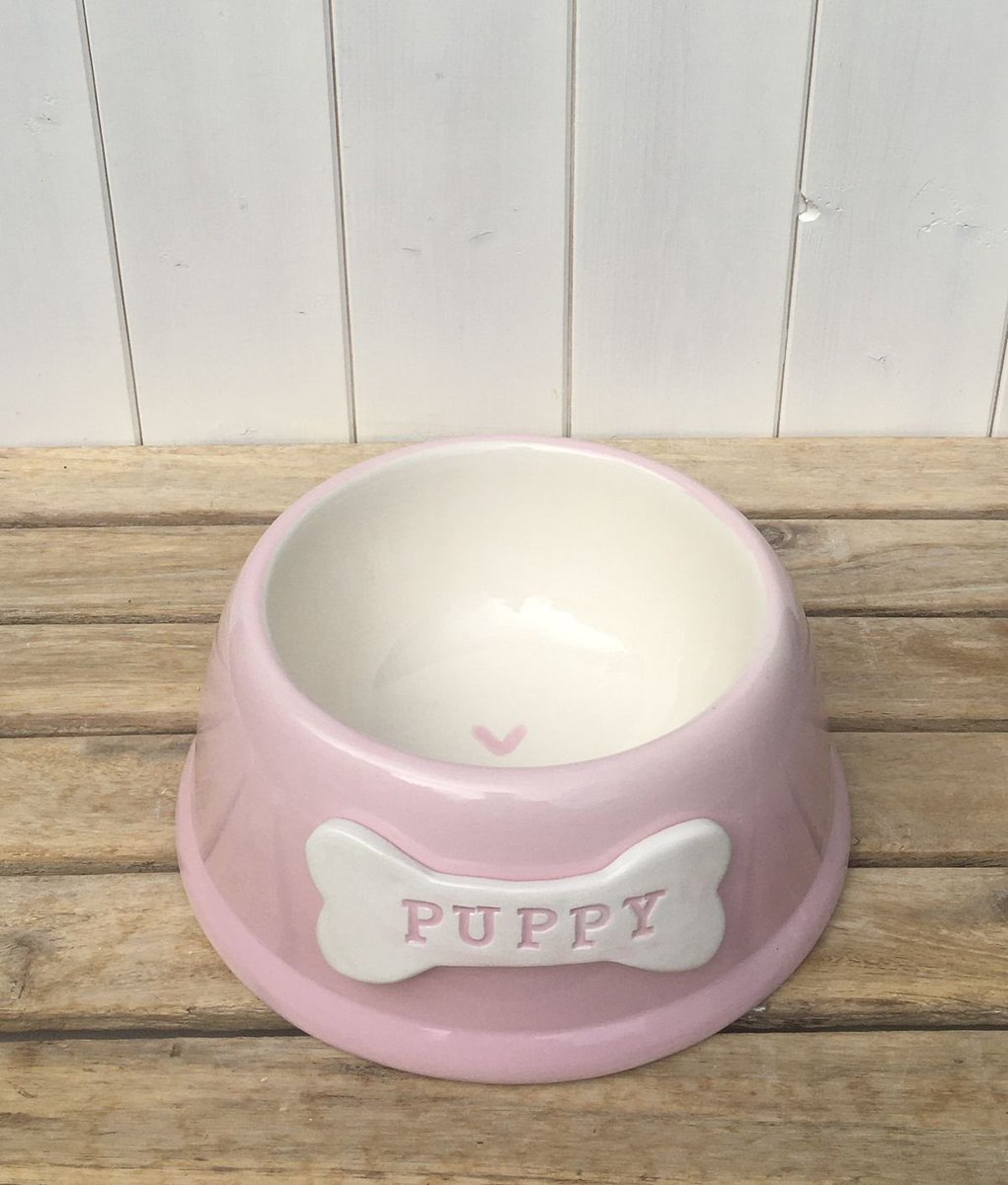 lilpuppyscar's tweet photo. i’ll be the best puppy for you     ૮₍ ˶• ༝ •˶ ₎ა ♡ https://t.co/wn4ZJlQYQn
