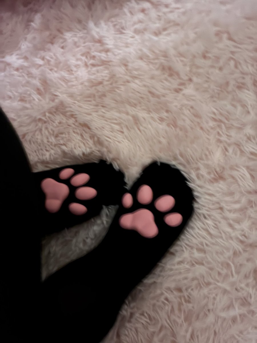 pawfectpupi's tweet photo. Laci | 19 | puppy girl 🐾
not new to #nsfwtwt — 
soft/hard kinks
spoil me &amp; i’ll be your good girl (or your bratty mutt) :3
DMs always open • send me anything anytime
a good girl who bites when she’s not getting treats 🦴 hehe 

#nsfw #nsfwtwtr #esex #egirl #puppygirl #cnc https://t.co/10uYp5BR0r