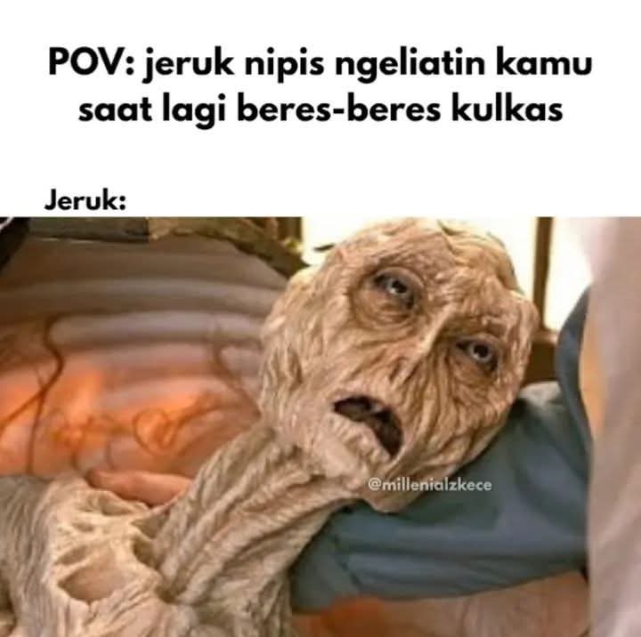 KucengTerbanggg's tweet photo. Kering meras lupa barengan daun jeruknya https://t.co/niIRIzki4H