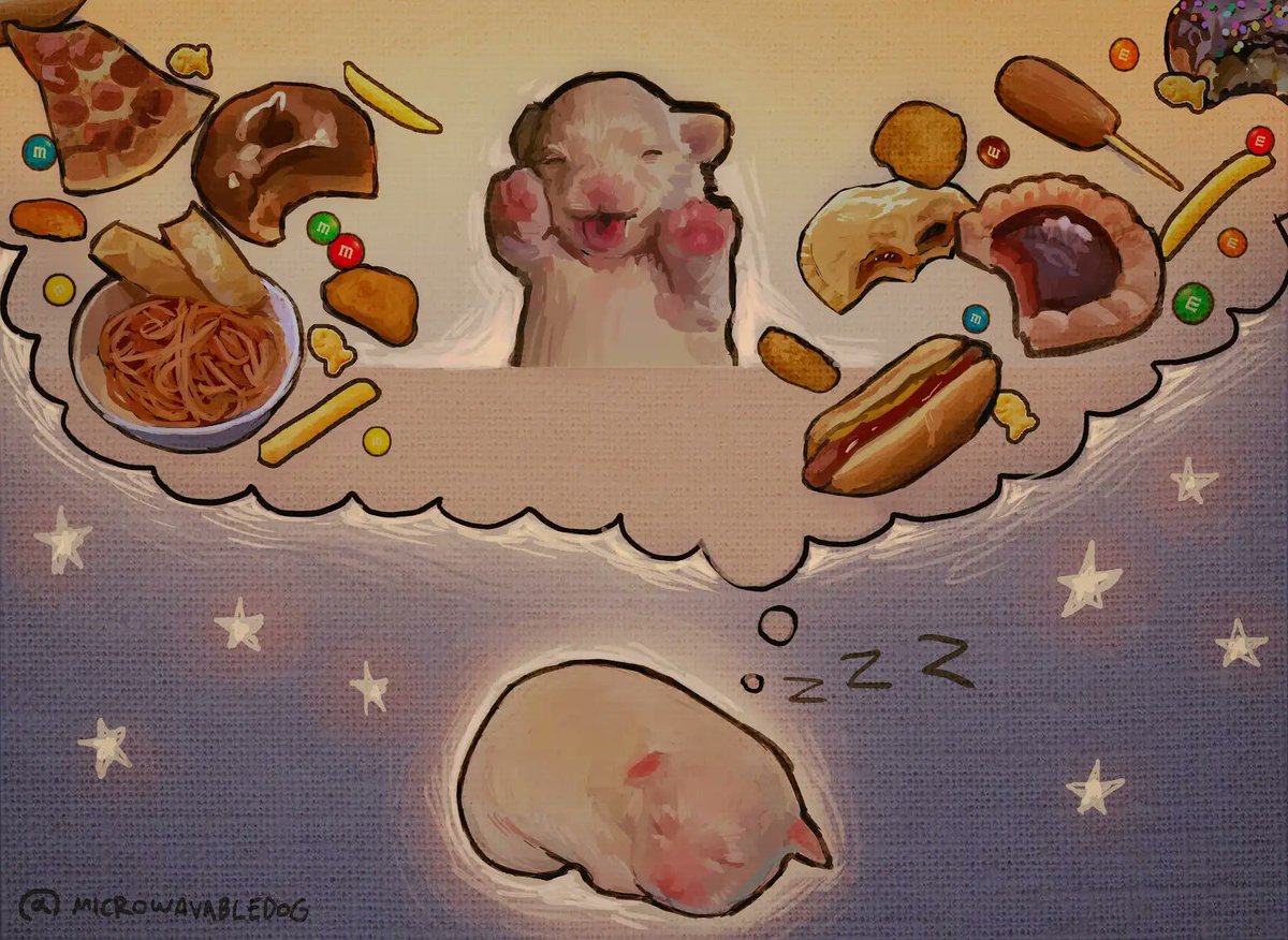 microwavabledog's tweet photo. SOME PEOPLE WANTED THIS AS A POSTCARD SO HERE IT IS !! :D
https://t.co/ja3VKnIbJY
"THAT’S HUMAN FOOD, SO FOR NOW YOU’RE STUCK WITH KIBBLE AT LEAST UNTIL YOUR NEXT LIFE" https://t.co/qsn0frNzmU