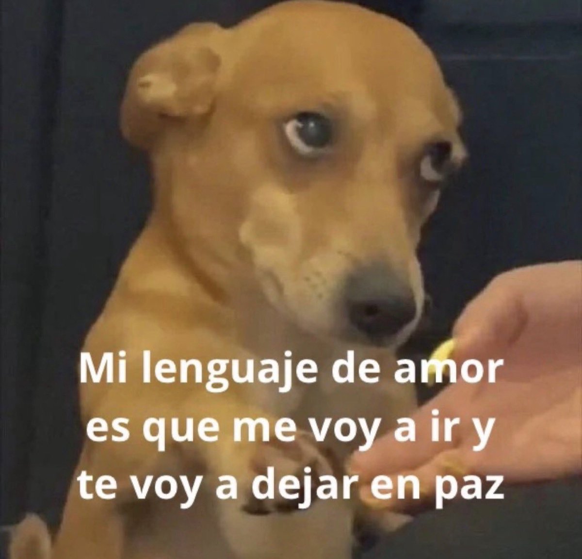 conoloracigarro's tweet photo. https://t.co/1i5vBz7si8