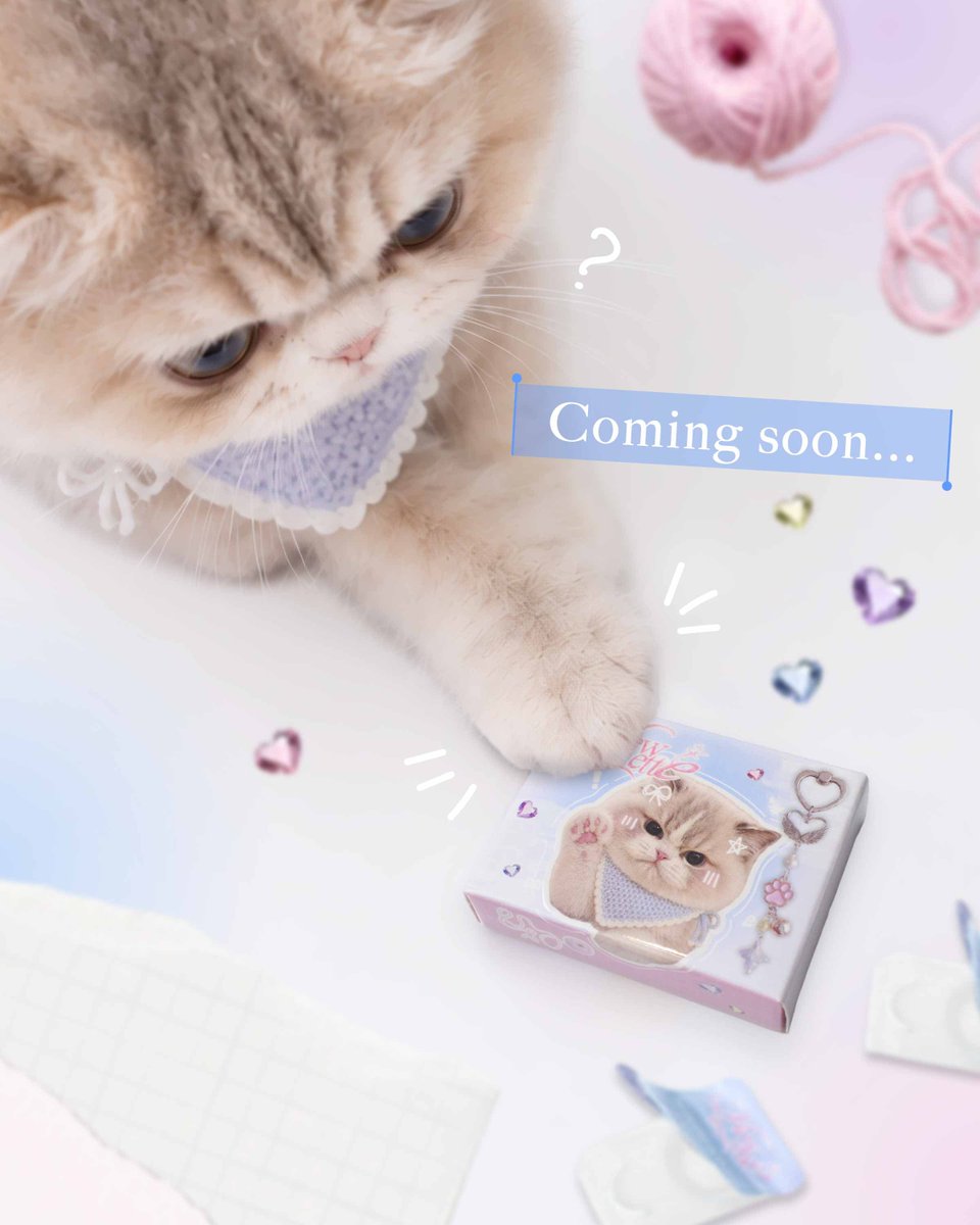 hotelloversjp's tweet photo. ┈┈┈┈┈┈┈┈┈┈┈┈┈┈┈┈┈┈

　　　　　𝗡𝗲𝘄 𝗯𝗿𝗮𝗻𝗱 🐾
　　　 この箱のかたちは…👀

┈┈┈┈┈┈┈┈┈┈┈┈┈┈┈┈┈┈ https://t.co/MbPAg2vtWS