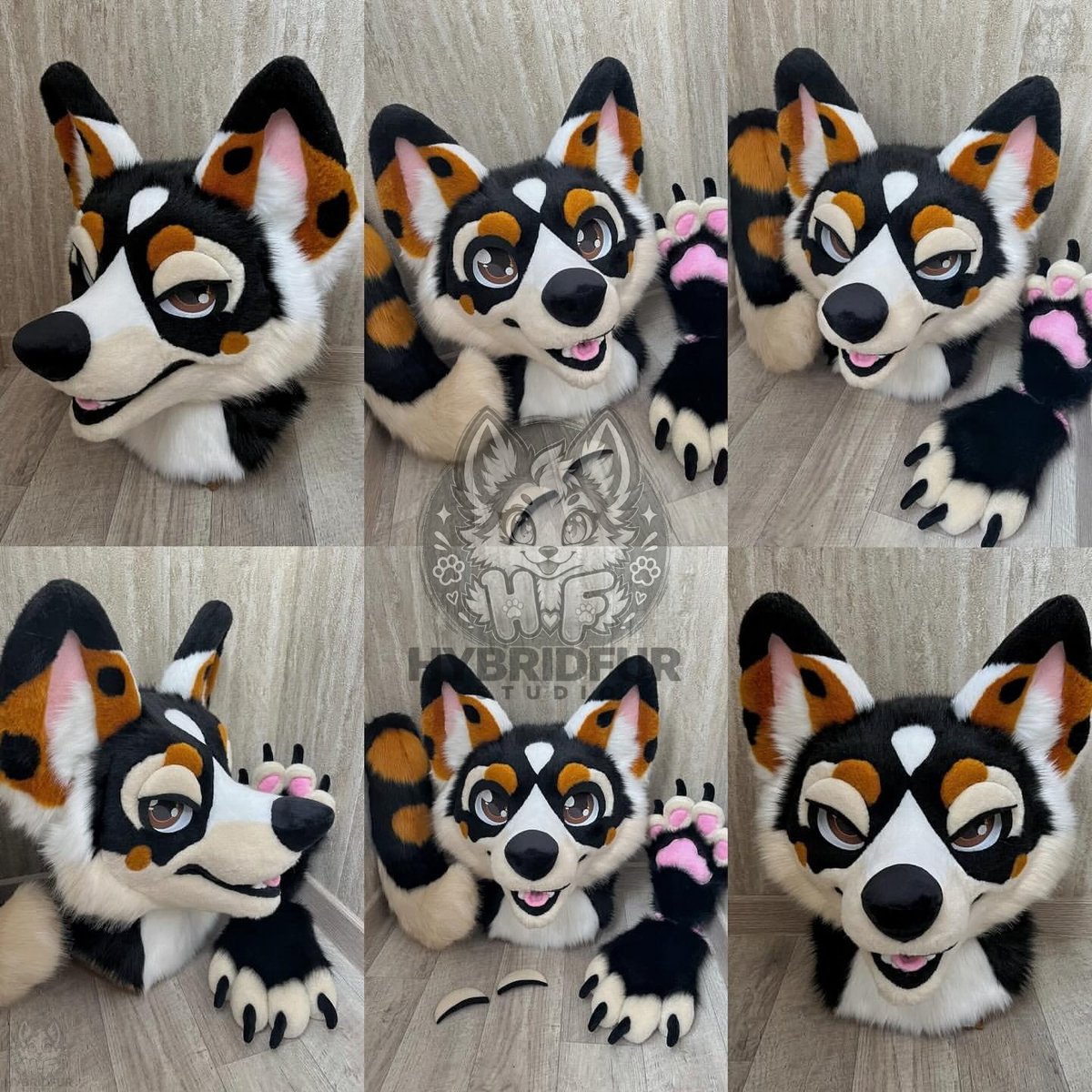 Hybridfurstudio's tweet photo. Introducing Corgi a playful and expressive corgi fursuit featuring bold markings fluffy details adorable paw pads and a charming personality every detail comes together to give Corgi a unique and eye catching character🧡🤍  

DM for custom fursuit designs pricing and availability https://t.co/lQOaZH9qTn