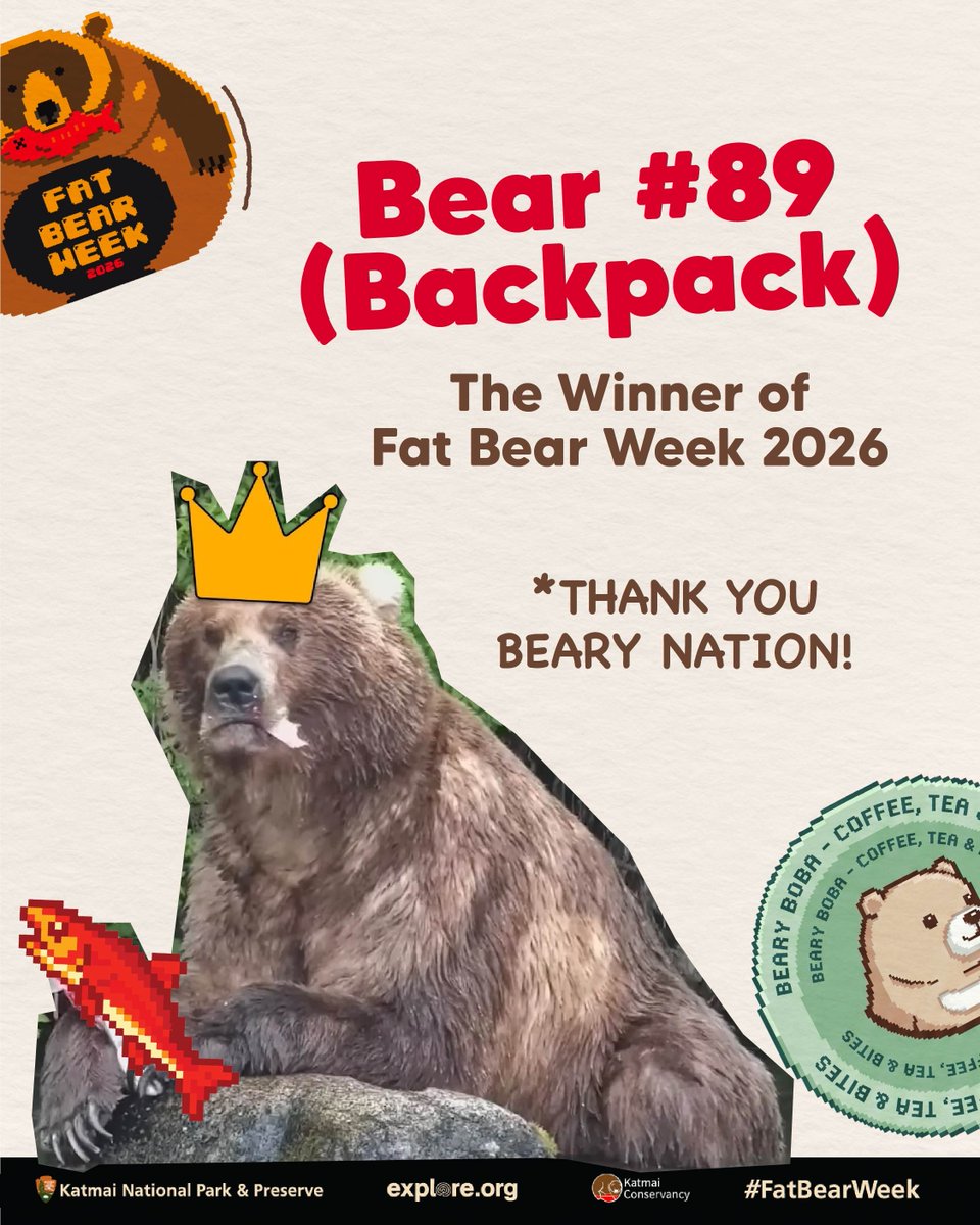 BearyBoba's tweet photo. 🥁 We officially raised and donated $333.99 to Katmai Conservancy 💳🎉 https://t.co/tpysE06nIX