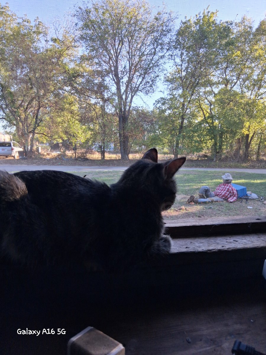 joni_kennedy's tweet photo. 10-05-26 Calm #OctoberPhotoChallenge #PhotoOfTheDay #photochallenge #octoberchallenge #autumn #fall #October2026 #happylife #photoadaychallenge2026 #OctoberpumpkinsbringNovemberturkeys @expertphotography https://t.co/Y4b2OVuPhL