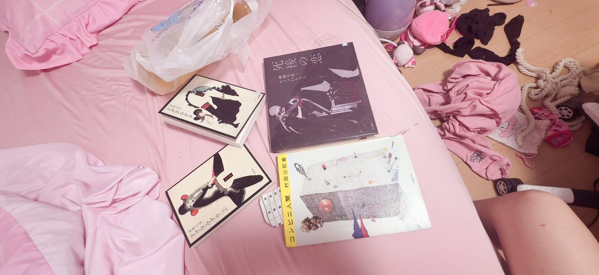 _a_15_z's tweet photo. 学校の図書室で借りた大好きな小説、これ読んでゲームしたら鬱紛らわせる気がする https://t.co/dTgW28YAqN