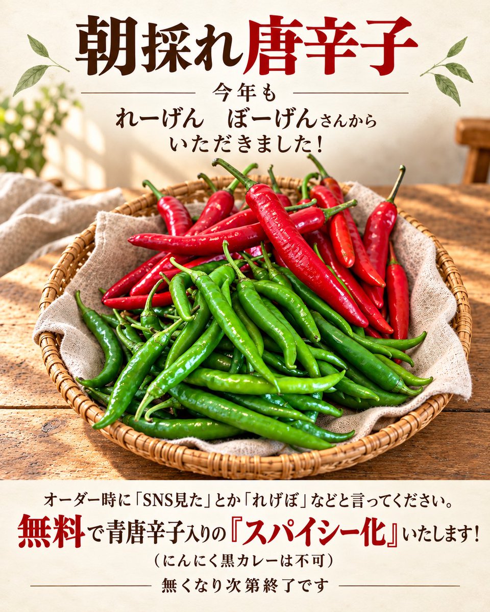 currymasara's tweet photo. 10/6（火）
ドーモ、豚くんです！
本日お店はお休みをいただいております🙇‍♂️
明日10月7日(水)11:00より営業いたします！
今週は数量限定「メンチカツカレー」や「にんにく黒カレー(+200円)」がおすすめ🍛✨
明日からのご来店を心よりお待ちしております！ https://t.co/W25cqgUtKO