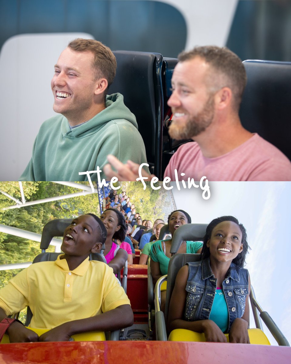 cedarpoint's tweet photo. Let the pre-trip excitement begin✨

Passholders get One Fast Lane Plus per person for FREE when you stay overnight at Hotel Breakers 🏨

*Terms &amp; conditions apply. Book your stay HERE 👉 https://t.co/bHk5cCxXH6 https://t.co/SEA0w3VlNm