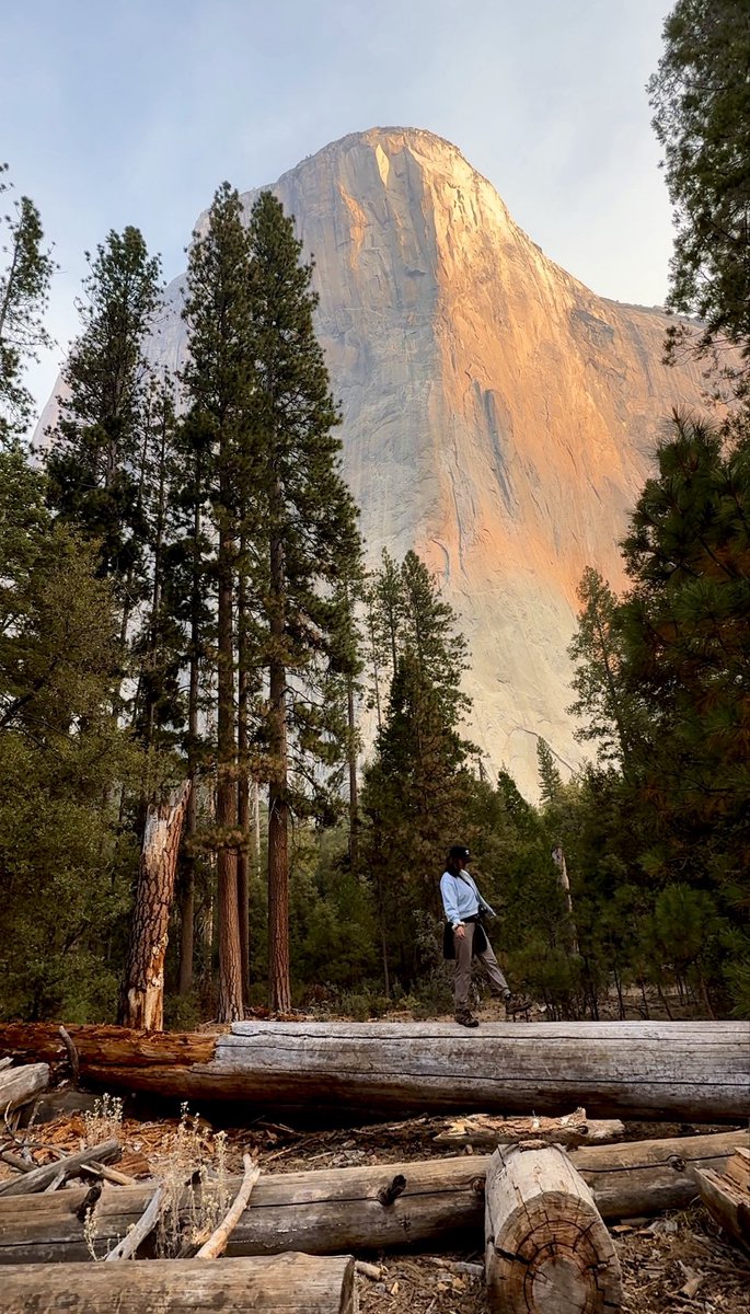 taylorkdarko's tweet photo. I fell in love with Yosemite National Park🌲🥾🐻 https://t.co/fHrKaWRYHS