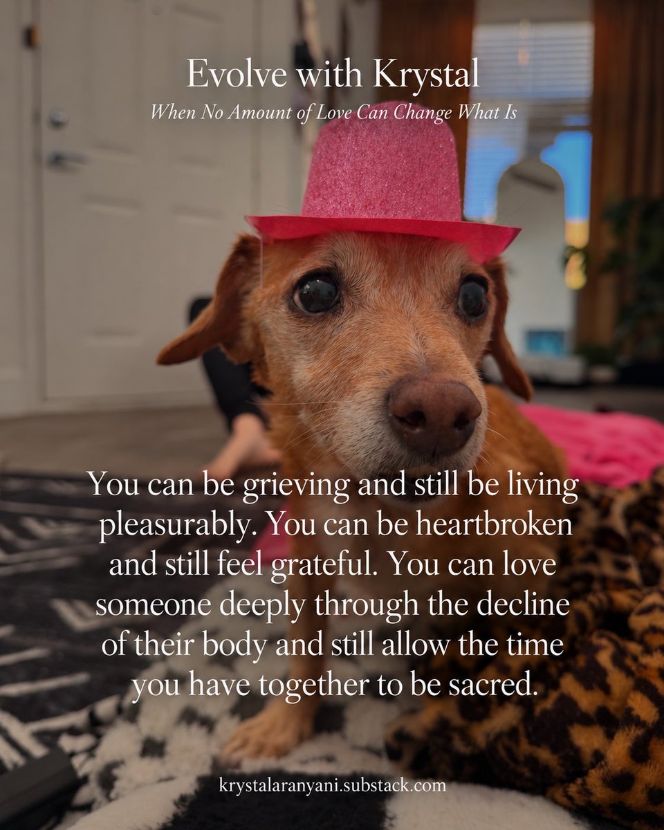 krystalaran's tweet photo. Sharing about my journey with my little bestie and her recent cancer diagnosis on my new Substack article 💖🌹 https://t.co/8N1QtLjqDB