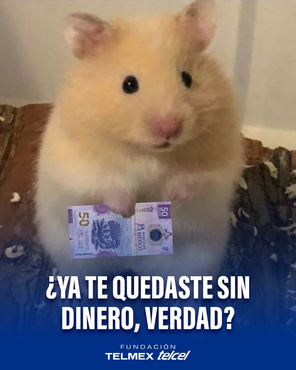 fundaciontelmex tweet picture
