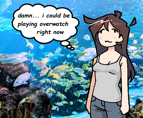 blumothy's tweet photo. went to the aquarium today https://t.co/7ZMl04gn6E
