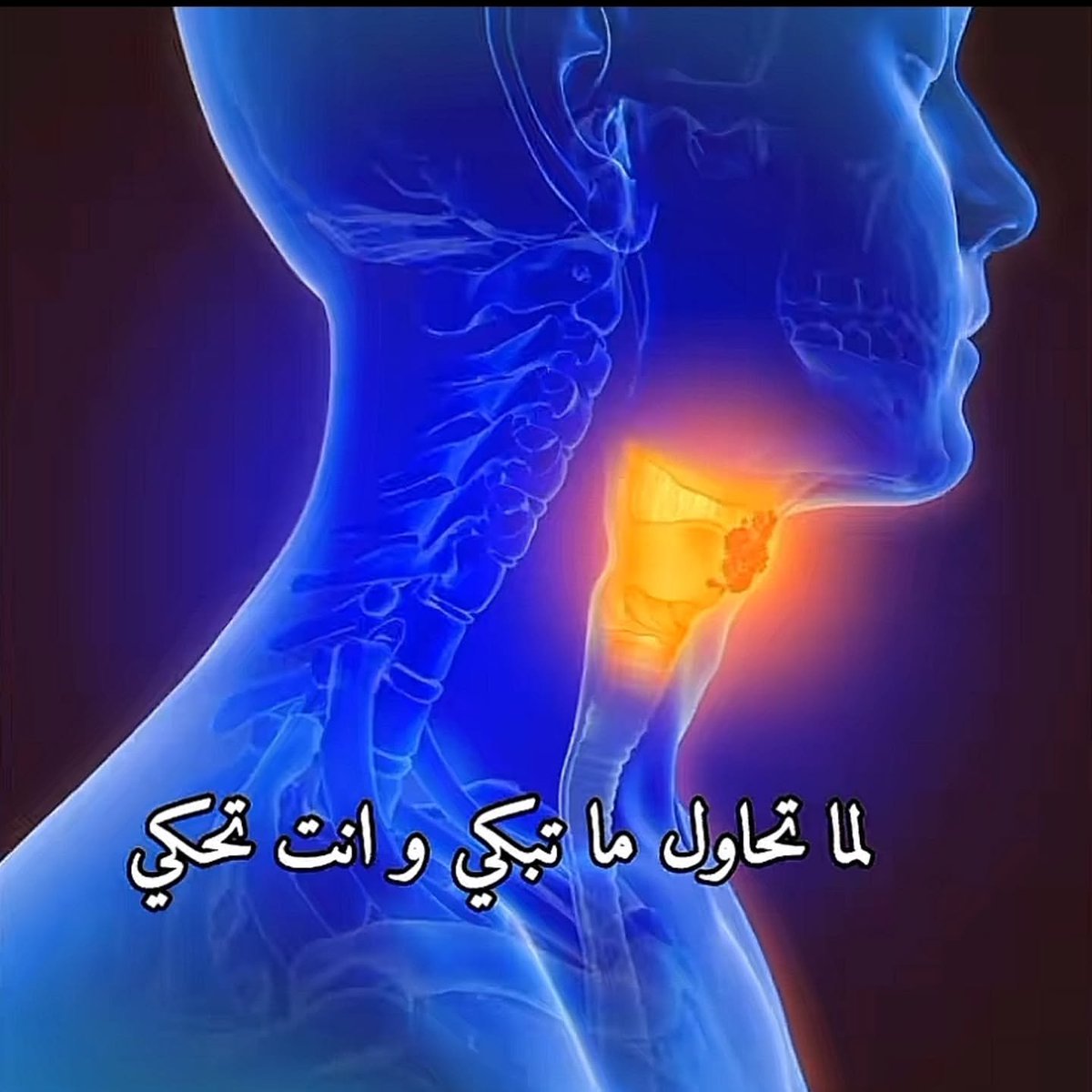 Overthinking_A9's tweet photo. كل يوم .. https://t.co/hXVYosxBxL