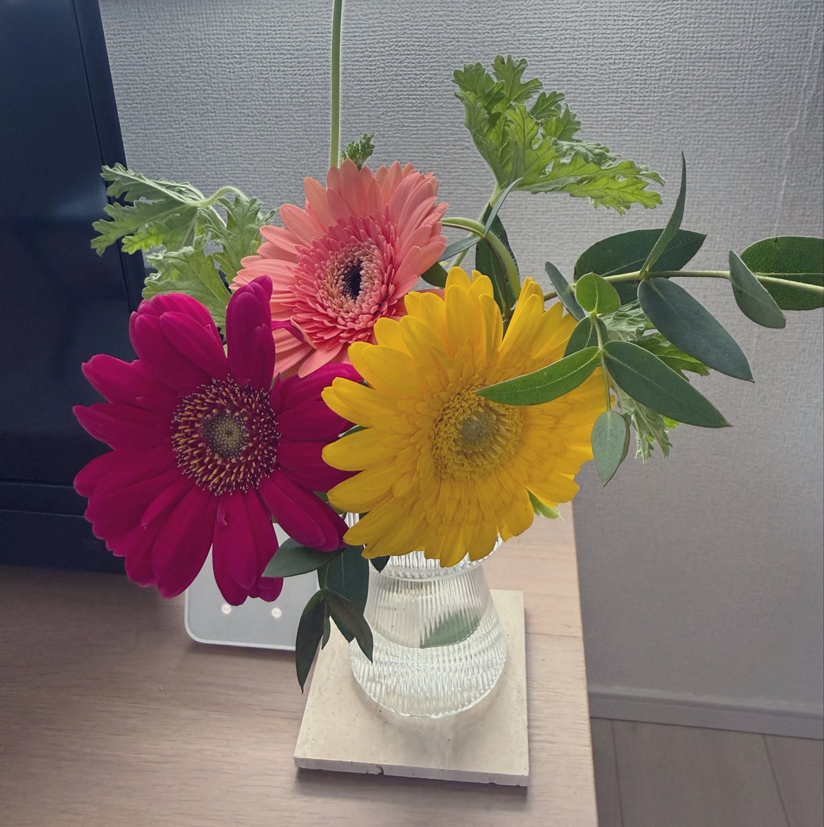 ggy3251's tweet photo. 天気良いですね☀️
お仕事サボって海辺へドライブとか行きたくなる気持ちを抑えつつ出勤です。けどよくよく考えたら単独で海辺へドライブなんて出掛けた日には寂しすぎて5分くらいで帰りたくなりそうなので、気持ち抑える必要も無く出勤です。

今日も自宅のお花が綺麗です。 https://t.co/ooRZngrV4H
