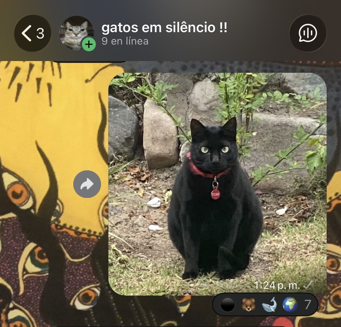 lourdsaveme's tweet photo. A mi gato le hacen fat shaming en un grupo de fotos de gatos https://t.co/UT2wli5z6E