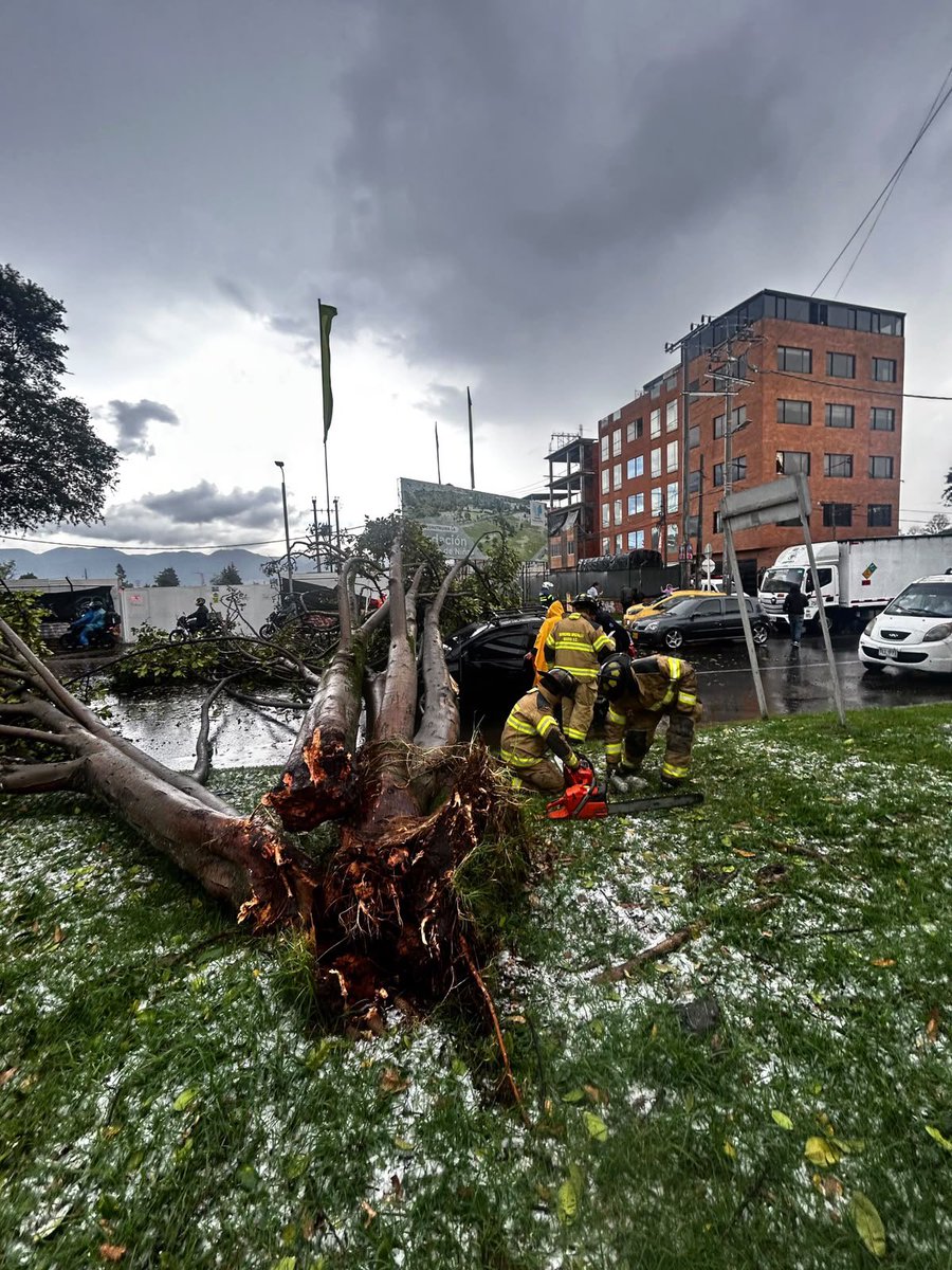 BomberosBogota's tweet photo. 🚨 Rescatamos a una persona que resultó atrapada en su vehículo, tras la caída de un árbol sobre la vía, en la Carrera 70 con Calle 49. Se realizó el corte del árbol. El paciente fue valorado por la Secretaría de Salud.

⚠️ Ante las fuertes lluvias, transita con precaución. https://t.co/mjAJYa8kiP