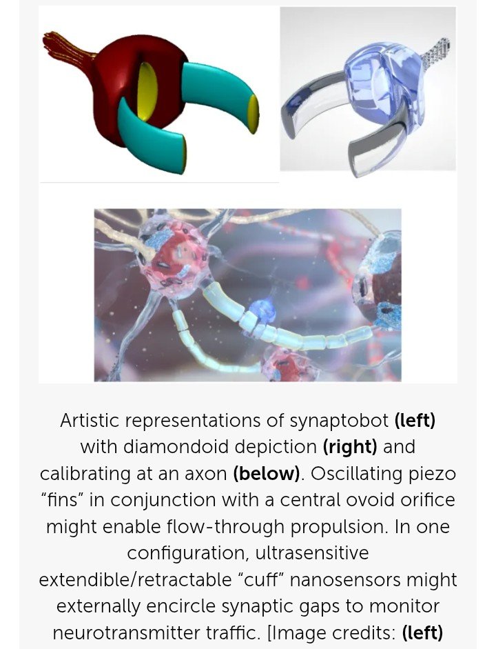 Ryansikorski10's tweet photo. Nano-Consciousness

Bridging AI & Human Brain Interfaces

Nanotech has enabled the development of ultra-small, biocompatible neural implants that can seamlessly integrate w/ human brain tissue, allowing for real-time interaction between biological neurons & AI systems. By leveraging AI-powered nanobots, researchers aim to create self-regulating neural networks capable of monitoring & augmenting brain activity. 

Furthermore, the application of quantum nanomaterials in neuromorphic engineering suggests the possibility of hyper-efficient, brain-like AI processors, capable of replicating the adaptive nature of human cognition. This could not only enhance human intelligence but also blur the boundaries between biological & artificial consciousness

https://t.co/1kR34guYvY

Blockchaining Cloudminds 

By linking brains to the Internet, BCIs allow individuals to be more highly connectable not just to communications networks but also to other minds, & thus could enable participation in new kinds of collective apps such as a cloudmind. 

A cloud-based mind would be some sort of processing or thinking capability that is virtual, located in Internet databanks w/out having a specific body or other physical corporeality. A crowdmind might comprise large # of minds operating together.

Blockchains have the necessary features to administer cloudminds including privacy, security, monitoring, & credit tracking. The properties of blockchains as a universal, secure, remunerative software structure is ideal for the operation of cloudminds. The tech can run undetectably in the background, tracking all contributions.

https://t.co/VDRCdzMw07

Two-tier neural-nanorobotic Brain/Cloud Interface (B/CI) 

Neural-nanorobots are expected to provide a non-invasive, secure & virtually autonomous real-time interface between the brain & the cloud. 

Injectable “Neural Lace

This would introduce minimally invasive 3D mesh nanoelectronics, via syringe-injection, into living brain tissue to allow for continuous monitoring & stimulation of individual neurons & neuronal networks. 

https://t.co/Tpa7rAWMoO

“We’ll have nanobots that… connect our neocortex to a synthetic neocortex in the cloud… Our thinking will be a…. biological & non-biological hybrid.”

— Ray Kurzweil, TED 2014

https://t.co/GbBRvaBgLA

Monitoring the intracellular structural & functional connectome may be enabled by 3 classes of neuralnanorobots, introduced here as endoneurobots, synaptobots, & gliabots.

https://t.co/Z32c0TPzgI 

They also constitute a non-intrusive, self-installed in vivo accessory high-speed nanofiber-optic network. The system aims to transmit up to ~ 6 x 10¹⁶ bits per second from the brain to cloud-based supercomputers.

https://t.co/RoP7RgRJsH

Vascular-injected, diamondoid neural-nanorobots—specifically endoneurobots, gliabots, & synaptobots—navigate the bloodstream, cross the blood–brain barrier, & position themselves inside or near neurons, glial cells, & synapses.

Neural-nanorobots are expected to be made of diamondoid hydrocarbon molecules (produced in diamondoid nanofactory via compact molecular manufacturing)https://t.co/ZTQO17nJD2 w/ all nanodevices being completely recyclable.

A wearable neuromorphic computer, managed & controlled by the owner of the B/CI, could act as filter & pre-processor of the data being exchanged between the cloud & the brain. Communicating w/ the neural-nanorobots thru wireless communication, the neuromorphic computer acts as a human WLAN, managing the data traffic between the brain & the cloud. 

https://t.co/9ZvZefTkmx

Proponents suggest it could enable "Matrix"-style downloading of info & instantaneous access to cumulative human knowledge.

https://t.co/qOetDOKWm0

It could theoretically link individual human minds (biological neurons) & AI systems (artificial neurons) together to form a collective consciousness or "global AI superbrain".

https://t.co/HLPOHByZvl