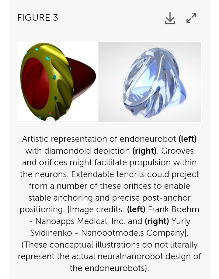 Ryansikorski10's tweet photo. Nano-Consciousness

Bridging AI & Human Brain Interfaces

Nanotech has enabled the development of ultra-small, biocompatible neural implants that can seamlessly integrate w/ human brain tissue, allowing for real-time interaction between biological neurons & AI systems. By leveraging AI-powered nanobots, researchers aim to create self-regulating neural networks capable of monitoring & augmenting brain activity. 

Furthermore, the application of quantum nanomaterials in neuromorphic engineering suggests the possibility of hyper-efficient, brain-like AI processors, capable of replicating the adaptive nature of human cognition. This could not only enhance human intelligence but also blur the boundaries between biological & artificial consciousness

https://t.co/1kR34guYvY

Blockchaining Cloudminds 

By linking brains to the Internet, BCIs allow individuals to be more highly connectable not just to communications networks but also to other minds, & thus could enable participation in new kinds of collective apps such as a cloudmind. 

A cloud-based mind would be some sort of processing or thinking capability that is virtual, located in Internet databanks w/out having a specific body or other physical corporeality. A crowdmind might comprise large # of minds operating together.

Blockchains have the necessary features to administer cloudminds including privacy, security, monitoring, & credit tracking. The properties of blockchains as a universal, secure, remunerative software structure is ideal for the operation of cloudminds. The tech can run undetectably in the background, tracking all contributions.

https://t.co/VDRCdzMw07

Two-tier neural-nanorobotic Brain/Cloud Interface (B/CI) 

Neural-nanorobots are expected to provide a non-invasive, secure & virtually autonomous real-time interface between the brain & the cloud. 

Injectable “Neural Lace

This would introduce minimally invasive 3D mesh nanoelectronics, via syringe-injection, into living brain tissue to allow for continuous monitoring & stimulation of individual neurons & neuronal networks. 

https://t.co/Tpa7rAWMoO

“We’ll have nanobots that… connect our neocortex to a synthetic neocortex in the cloud… Our thinking will be a…. biological & non-biological hybrid.”

— Ray Kurzweil, TED 2014

https://t.co/GbBRvaBgLA

Monitoring the intracellular structural & functional connectome may be enabled by 3 classes of neuralnanorobots, introduced here as endoneurobots, synaptobots, & gliabots.

https://t.co/Z32c0TPzgI 

They also constitute a non-intrusive, self-installed in vivo accessory high-speed nanofiber-optic network. The system aims to transmit up to ~ 6 x 10¹⁶ bits per second from the brain to cloud-based supercomputers.

https://t.co/RoP7RgRJsH

Vascular-injected, diamondoid neural-nanorobots—specifically endoneurobots, gliabots, & synaptobots—navigate the bloodstream, cross the blood–brain barrier, & position themselves inside or near neurons, glial cells, & synapses.

Neural-nanorobots are expected to be made of diamondoid hydrocarbon molecules (produced in diamondoid nanofactory via compact molecular manufacturing)https://t.co/ZTQO17nJD2 w/ all nanodevices being completely recyclable.

A wearable neuromorphic computer, managed & controlled by the owner of the B/CI, could act as filter & pre-processor of the data being exchanged between the cloud & the brain. Communicating w/ the neural-nanorobots thru wireless communication, the neuromorphic computer acts as a human WLAN, managing the data traffic between the brain & the cloud. 

https://t.co/9ZvZefTkmx

Proponents suggest it could enable "Matrix"-style downloading of info & instantaneous access to cumulative human knowledge.

https://t.co/qOetDOKWm0

It could theoretically link individual human minds (biological neurons) & AI systems (artificial neurons) together to form a collective consciousness or "global AI superbrain".

https://t.co/HLPOHByZvl