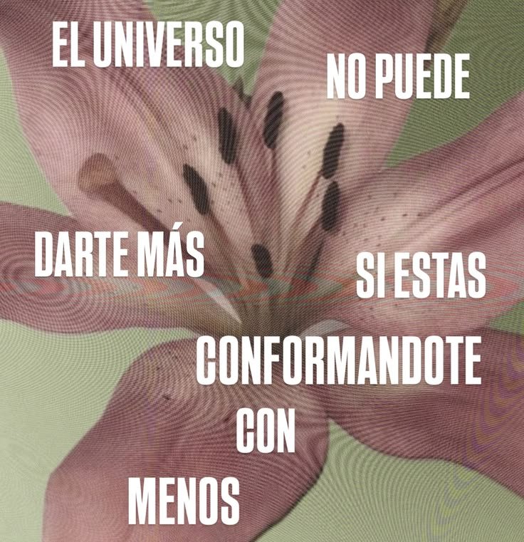 voragine_tarot's tweet photo. https://t.co/8HXRy53lih
