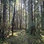 Photo by Tee Blom🇫🇮 🇺🇦 (@BlomTee)