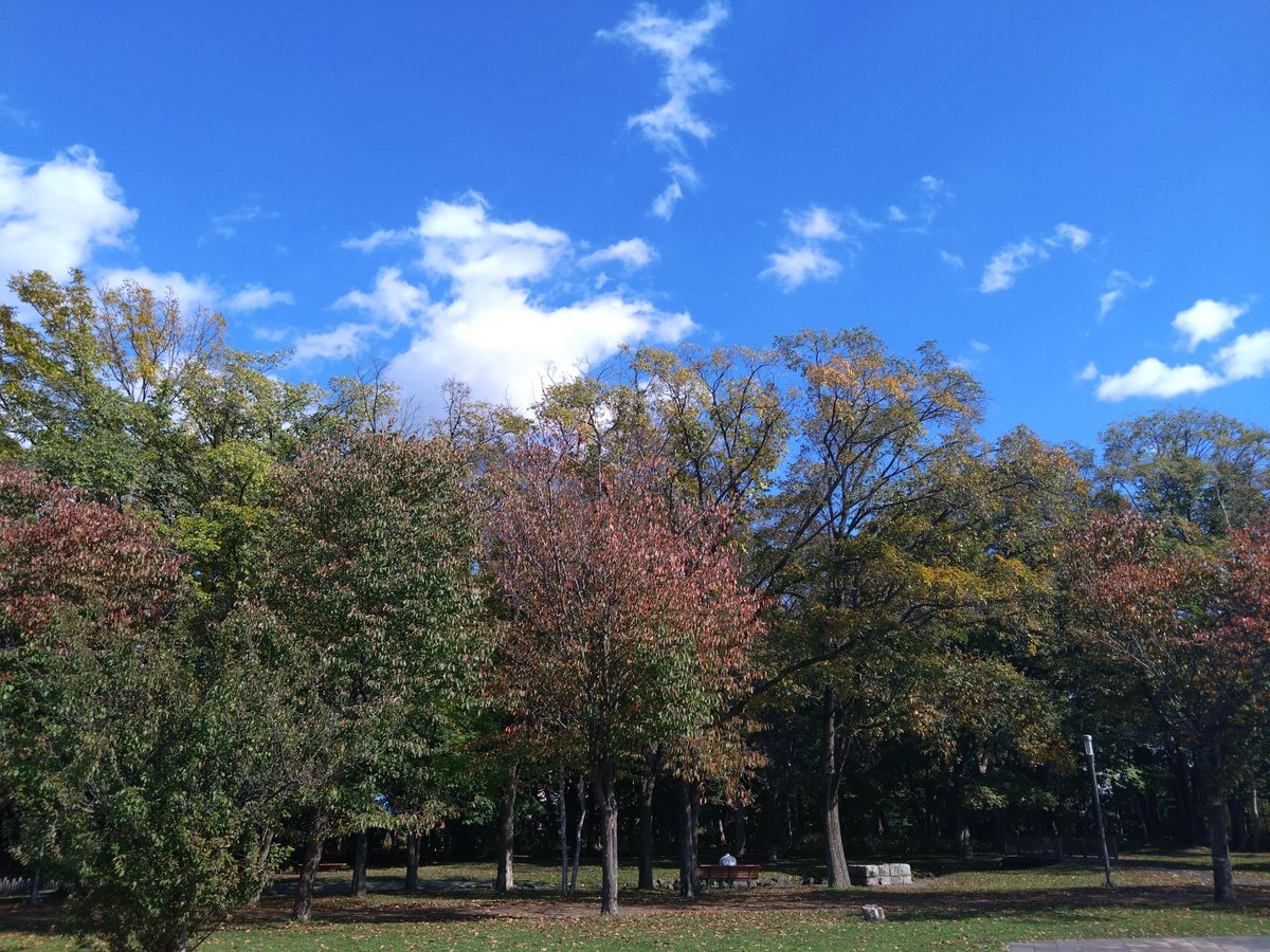ChisaTarou3's tweet photo. 東京出張のフライトは1630
ここはいつも東京帰りたくなくて駄々こねる千歳の公園 https://t.co/BnjGlh3i3F