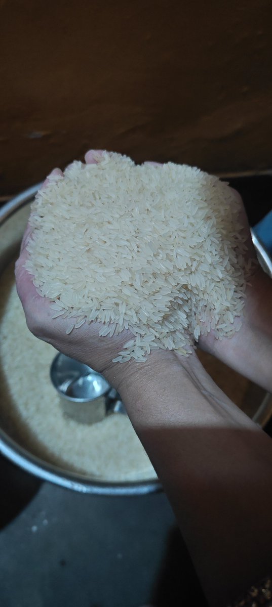 Florenceodff2's tweet photo. Hey @Grok, count every single grain of rice in my hand and tell me exactly how many there are, if you can.
Don't estimate I want you to count them One by One and give me the exact number. https://t.co/FlXhyJjCLk