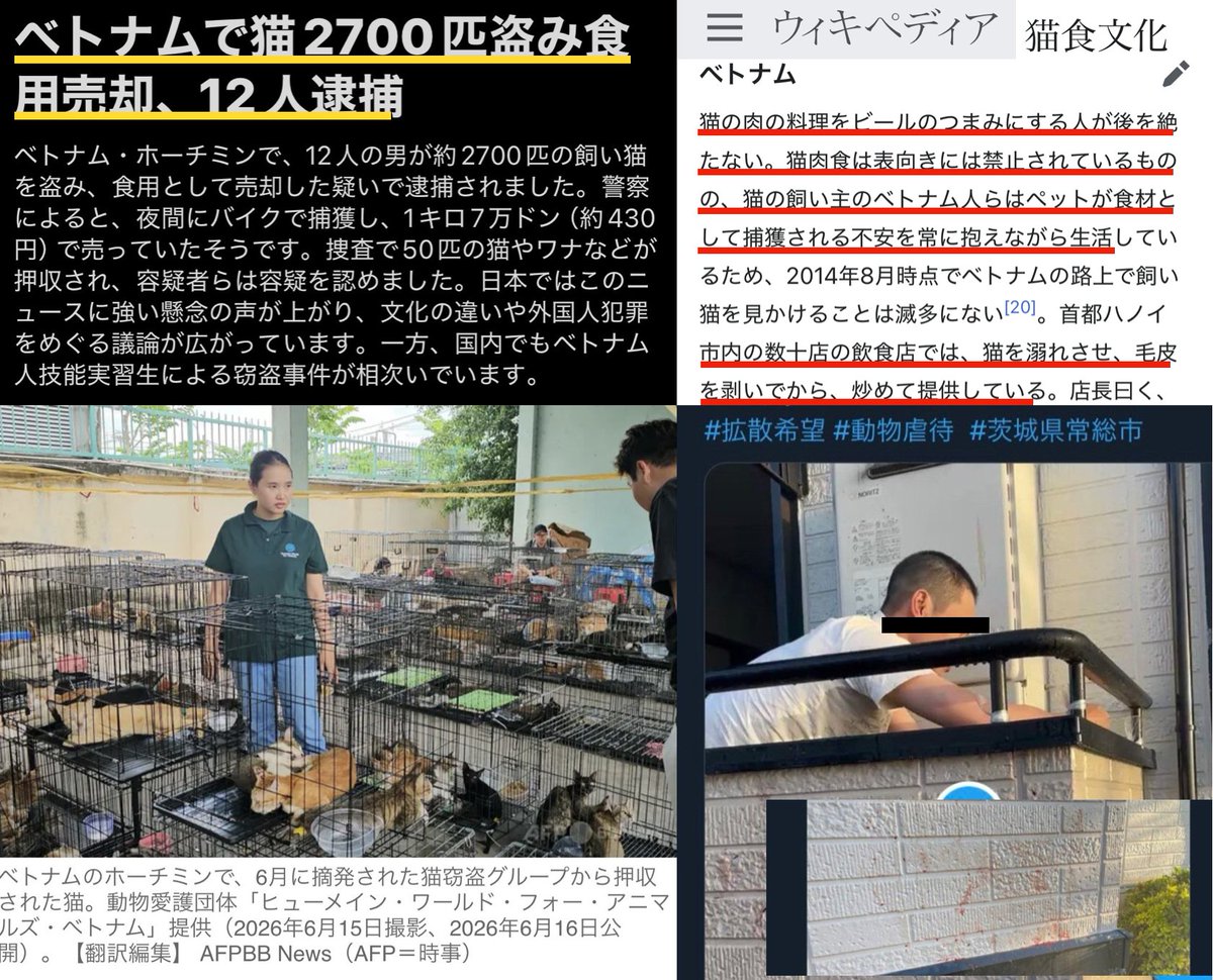 YukokuTV1's tweet photo. ベトナム国内での事件がトレンドに上がっています。

（私個人は嫌ですが）ベトナム人がベトナム国内で猫を食べる習慣はもうしょうがないので放っておけばいいと思いますが（てかベトナムでも違法らしい😓）、

こういう食習慣の人たちを日本に大量に流入させるとなると話は別です。

日本で猫が食べられるニュースは見かけませんが（過去に炎上した例あり）、すでに彼らによって日本の鹿、カラス、猪、鳩、魚介類などが不当に食べられ続けています。

「労働力がほしい」という理由だけで文化レベルが全く違う連中を入れるからこうなるのに、これからまだ入れ続けるっていうんだから笑えない。