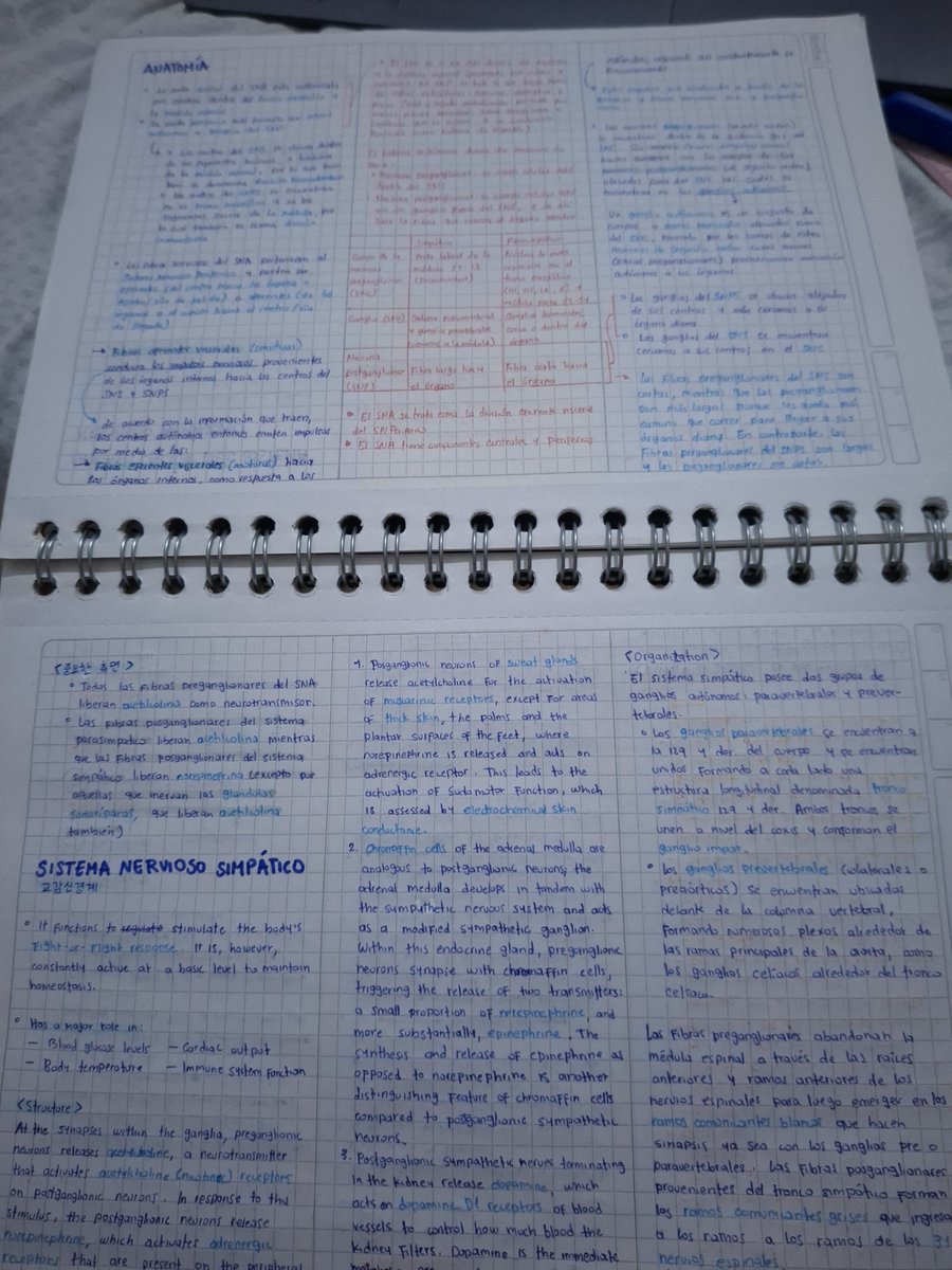 oceantmk's tweet photo. el día que yo aprenda a estudiar sin tener que copiar cada palabra se acabó para todos https://t.co/eTj4lDqp6E