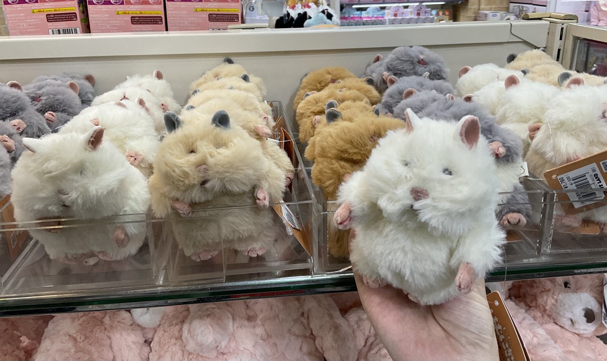 h_kiddyland's tweet photo. 3F ぬいぐるみコーナー🧸💛

超話題の「はむにぎり」が入荷いたしました✨
重ためのフォルムが可愛らしいです🌟
この機会にぜひチェックしてみてください💛🤎

※1会計各種1までとさせていただきます。
※お品切れの際はご容赦ください。 https://t.co/aPAzANQfCe